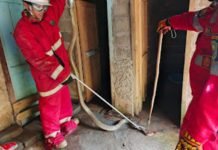 Damkar PALI Berhasil Tangkap Ular Kobra yang Masuk Rumah Warga