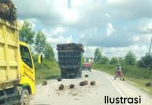 Masyarakat Kijang SP Padang Keluhkan Kondisi Jalan yang Sering Dilalui Truk Sawit