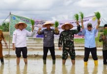 Topang Swasembada Pangan, Kementan Targetkan Cetak 125 Ribu Hektare Sawah Baru di OKI