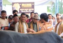 Pj. Gubernur Lampung Dukung Wujudkan Ketahanan Pangan Nasional