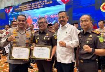 Berhasil Cegah Konflik Pertanahan, Kajari OKI Terima Pin Emas dari Menteri ATR/BPN