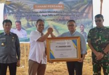 PT Sampoerna Agro Tbk Kolaborasi dengan Dirjenbun Tanami Lahan PSR dengan Padi Gogo