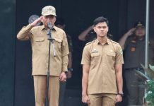 Ini Pesan Wakil Bupati PALI dalam Apel Gabungan Tahun 2025