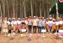Penanaman Jagung Serentak di OKI Dukung Ketahanan Pangan Nasional