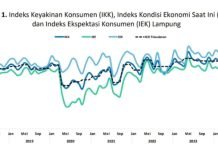 Optimisme Konsumen Terhadap Perekonomian Lampung Pada Desember 2024 Meningkat