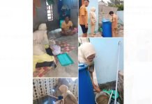 Langkah Efektif Cegah DBD, Fokus pada 3M Plus dan Kebersihan Lingkungan