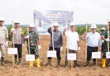 Dukung Swasembada Pangan Presiden Prabowo, Lahan PSR di OKI Ditanami Padi Gogo