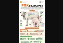 Cegah Wabah PMK, Disbunnak OKI Dorong Peternak Ikut SOP dan Vaksinasi