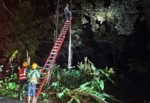 PLN Imbau Warga Lampung Waspada Bahaya Kelistrikan Ditengah Cuaca Ekstrem