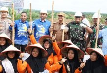 Tingkatkan Ketahanan Pangan, Dandim 0402/OKI Hadiri Kegiatan Tanam Padi Gogo