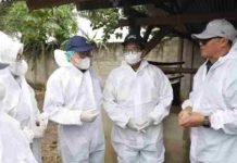 Pj. Gubernur Samsudin Tinjau Vaksinasi Massal PMK di Lampung Tengah