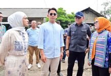 Tanggapi Keluhan Warga, Putri Zulhas dan Bupati Lamsel Terpilih Akan Perbaiki Penerangan Jalan