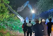 PLN Gerak Cepat Perbaiki Jaringan Listrik Terdampak Longsor di Pesawaran Lampung