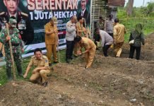 Kurangi Impor, Polsek Tulung Selapan Berpartisipasi dalam Gerakan Tanam Jagung