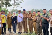 Anggota DPRD Lampung Tinjau Lokasi Banjir di Kecamatan Palas
