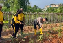 Kebun Ketahanan Pangan Satker Bidkum Polda Sumsel Dipanen, Hasilnya Dibagikan ke Masyarakat