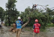 PLN UID Lampung Berhasil Pulihkan 100 Persen Kelistrikan Pasca Cuaca Ekstrem