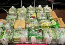 Polda Lampung Gagalkan Penyelundupan 24 Kg Sabu di Pelabuhan Bakauheni