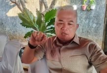 DPRD Lampung Ingatkan Pemprov, Efisiensi Anggaran Jangan Ganggu Pelayanan Publik