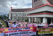 Demo Nakes Tapsel Kecam Dolly Pasaribu: Tolak Dirumahkan