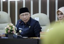 Gubernur Mirza Sinkronkan RPJMD Lampung dengan RPJMN untuk Percepatan Program Prioritas Nasional