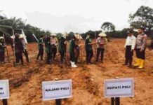 Peluncuran Program Penanaman Jagung Serentak di PALI, Langkah Strategis Menuju Swasembada Pangan Nasional