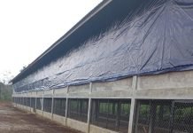 Sudah Diperintah Hentikan Kegiatan, PT. TSM Tetap Beroperasi