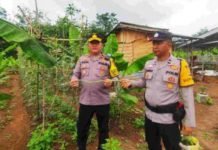 Polsek Talang Ubi PALI Dorong Ketahanan Pangan dan Hijaukan Lingkungan dengan Pemanfaatan Lahan Tidur