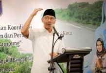 Gubernur Mirza Dorong Kerja Sama Internasional untuk Bangkitkan Kejayaan Kelautan Lampung