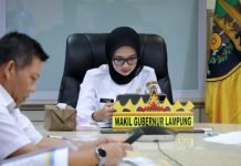 Wagub Jihan Nurlela Ikuti Peluncuran Indikator Indeks Pencegahan Korupsi Daerah MCP 2025