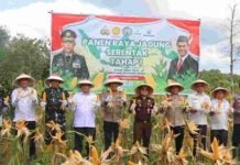 Polres PALI Gelar Panen Raya Jagung Tahap I, Wujud Sinergi dalam Mendukung Ketahanan Pangan Nasional