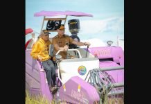 Gubernur Lampung Ikuti Panen Raya Padi Serentak di 14 Provinsi Secara Nasional