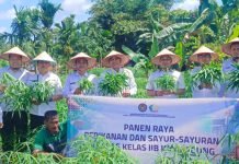 Lapas Kayuagung Panen Ikan dan Sayuran, Erwedi Dorong Peningkatan PNBP