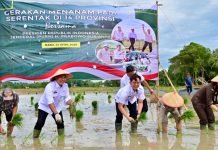 Bupati Egi Ikuti Tanam Padi Serentak di 14 Provinsi Bersama Presiden Prabowo Secara Daring