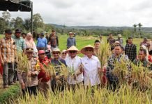 Bupati Tapsel Ikuti Panen Raya Nasional dari Angkola Timur