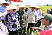 Pemkab Lampung Selatan Ikuti Panen Raya Serentak di 14 Provinsi Bersama Presiden Prabowo