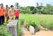 Tinjau Lokasi Banjir, Bupati Egi Salurkan Bantuan untuk Warga Desa Merak Belantung