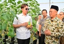 Panen Melon Sultan di Ponpes Istiqomah Al-Amin, Bupati Egi Beri Apresiasi