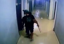 Rampas Ponsel Pengunjung Indekos, Pria di Bandar Lampung Ditangkap