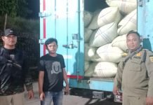 Pemprov Lampung Tegas Larang Pengiriman Gabah ke Luar Daerah