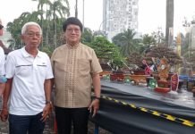 Bonsai Anting Putri Usia 18 Tahun Jadi Pemenang Best Bonsai, Ditaksir Senilai Rp 500 Juta