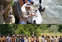 Panen Raya dan Panen Ikan Semah di Kerinci, Gubernur Jambi Ajak Petani Wujudkan Swasembada Pangan 2027