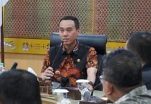 Pemkab OKI dan BKSDA Perkuat Upaya Mitigasi Konflik Gajah-Manusia di Air Sugihan