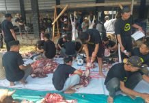 Masjid Asmaul Husna Kampung Siger Sembelih 10 Hewan Kurban, Ratusan Paket Daging Dibagikan ke Warga