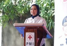 Peringati HDDS 2025, Ketua PMI Lampung Tegaskan Komitmen Kemanusiaan dan Ketersediaan Darah Aman