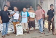 Pemkab PALI Salurkan 700 Ton Pupuk Organik Improbio ke 136 Kelompok Tani dan 20 KWT