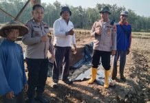Bersama Petani, Polsek Lempuing Gencarkan Program Ketahanan Pangan di OKI