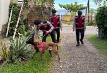 Tim K9 Polda Lampung Intensifkan Penyisiran di Lokasi WSL Krui Pro 2025