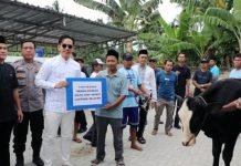 42 Sapi Kurban untuk Warga, Bupati Egi Turun Langsung Bagikan ke Masyarakat