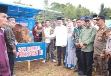 Bupati Monadi Serahkan Bantuan Sapi Kurban dari Presiden Prabowo di Desa Sungai Gelampeh